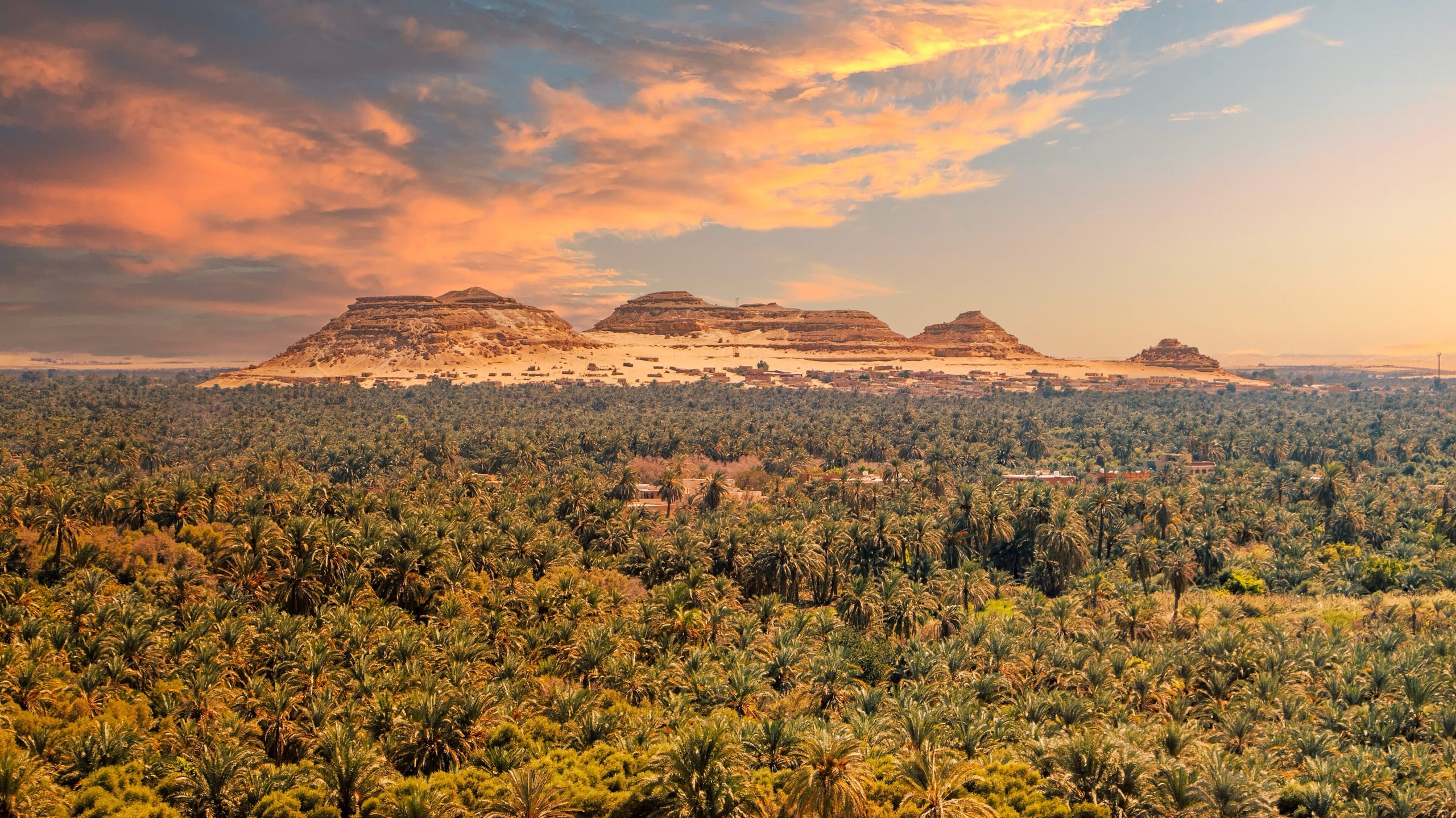 Palm groves of Siwa below Dakrour mountain at sunset